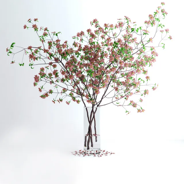 decoration - Dogwood pink flowers 7 3D Model