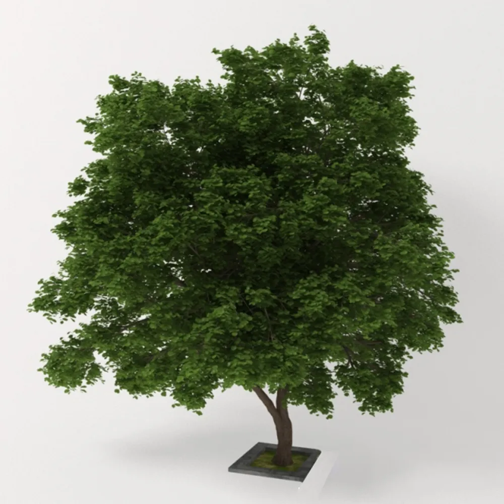 decoration - Double stem tree 3D Model