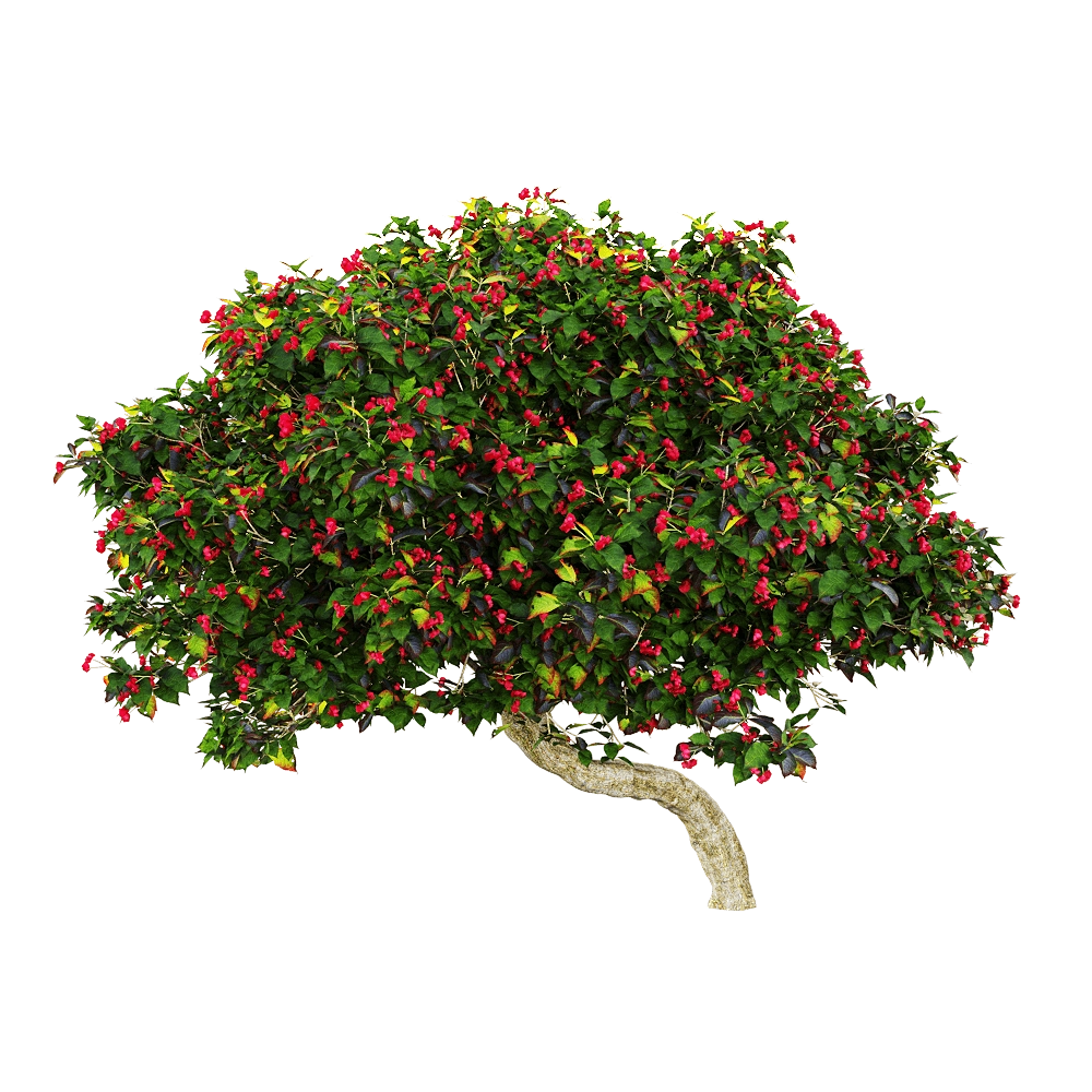 decoration - Euonymus europaeus 3 3D Model