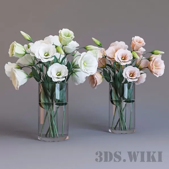 decoration - Eustoma 3D Model