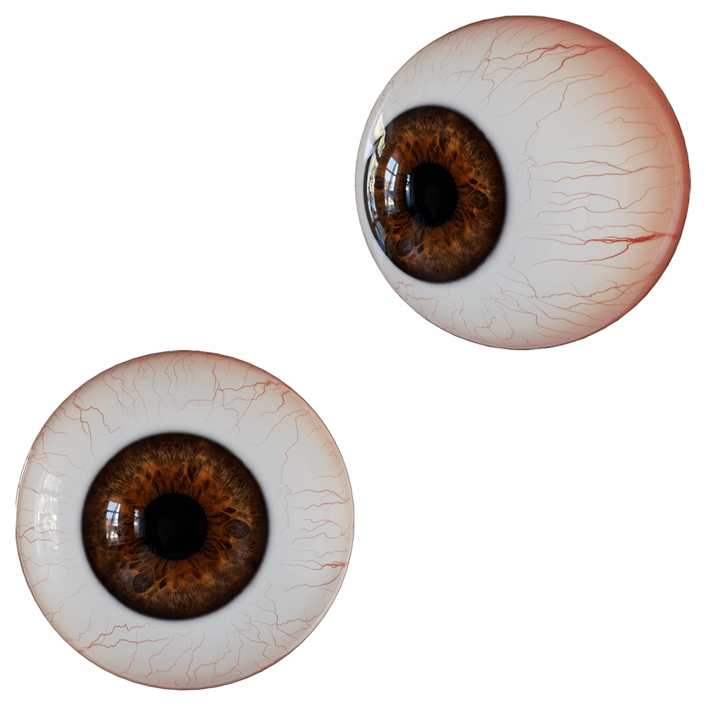 decoration - Eyeball 3D Model