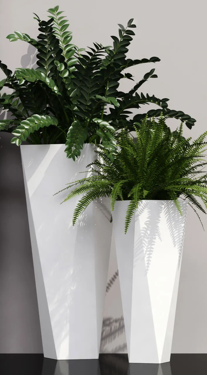decoration - Ferns in pots 3D Model