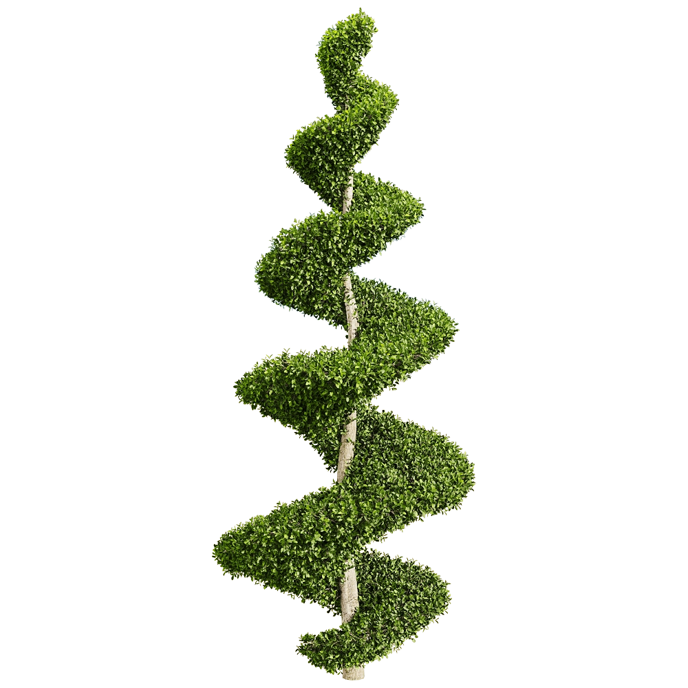 decoration - Ficus concinna 6 3D Model