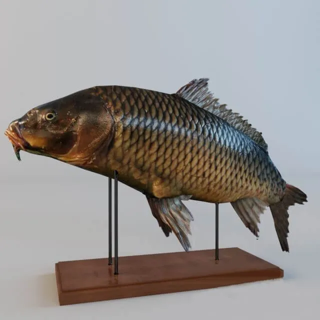 decoration - Figurine Fish 3D Model