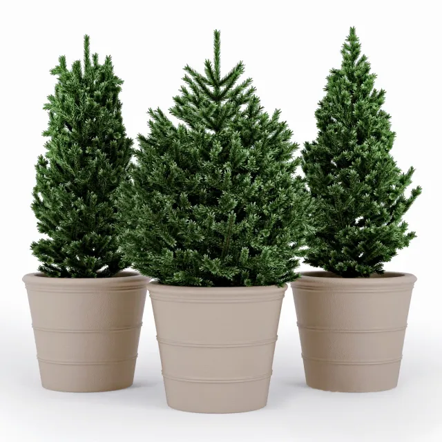 decoration - Fir tree 13 3D Model