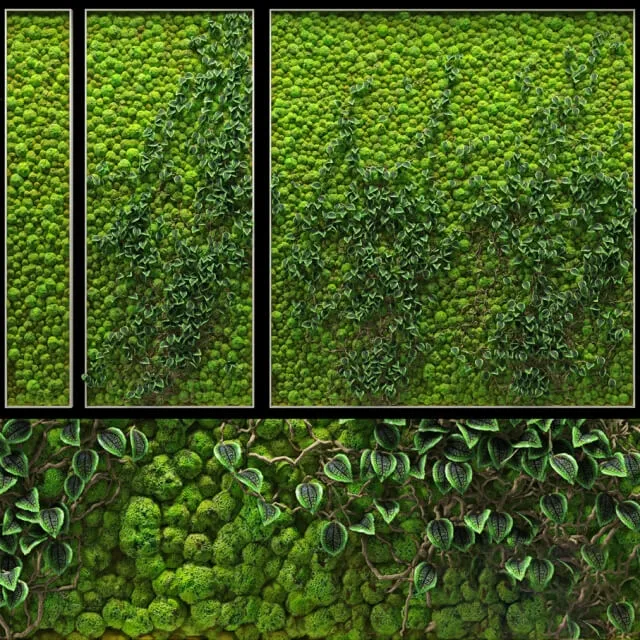 decoration - Fito wall 3D Model