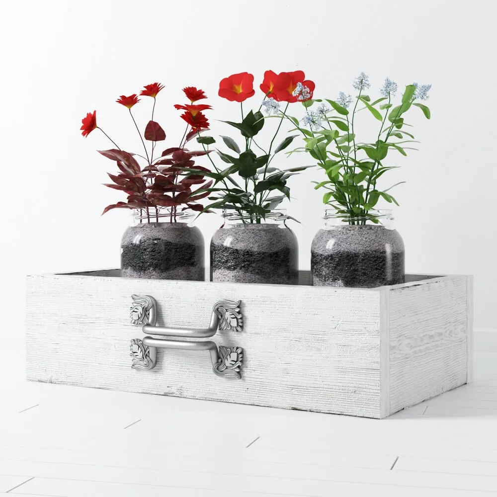 decoration - Flower plant 12 3D Model