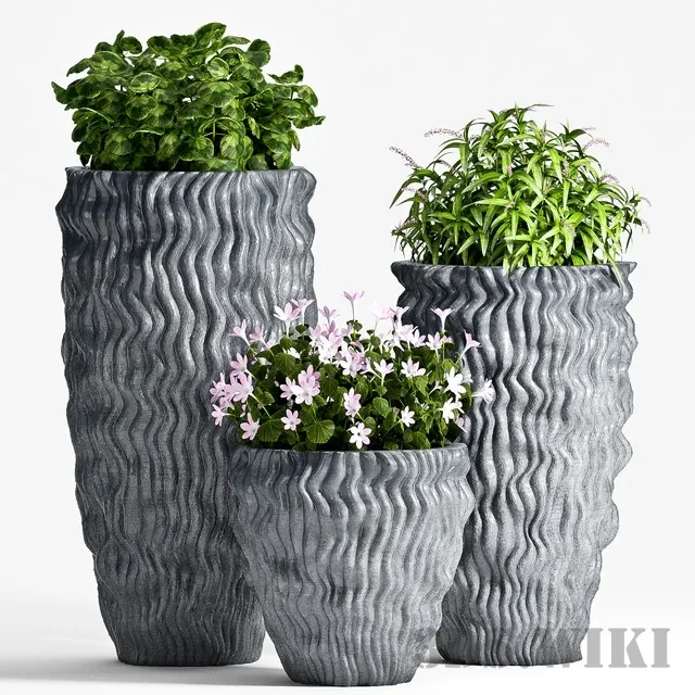 decoration - Flowers in extraordinary pots 3D Model