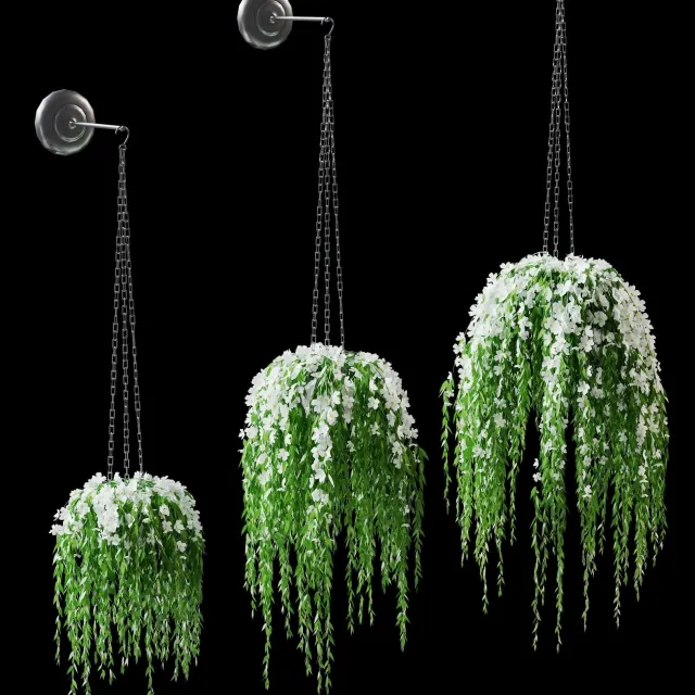 decoration - Flowers in pots 3D Model