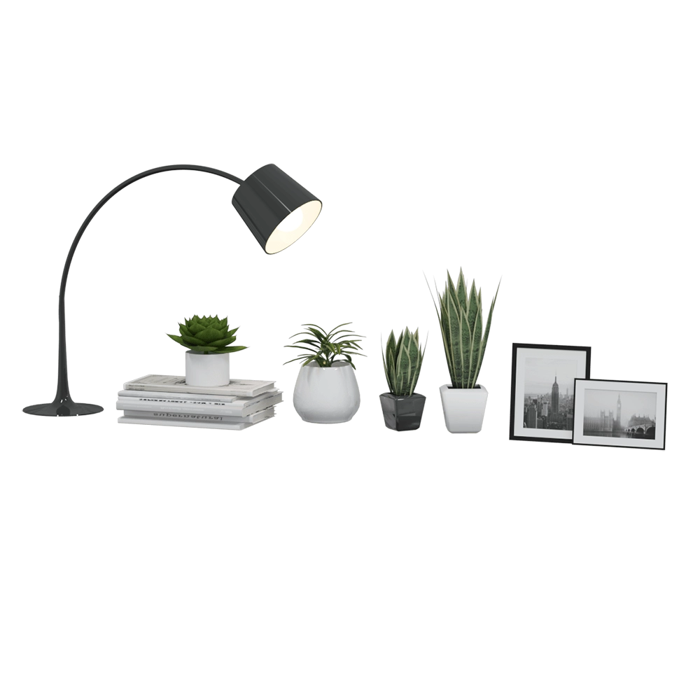 decoration - Flowers & picture decor 3D Model