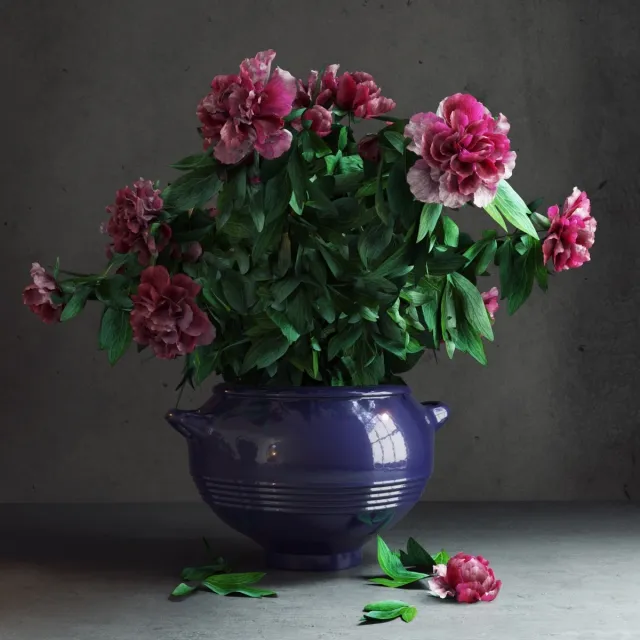 decoration - Garden's Peonies 3D Model