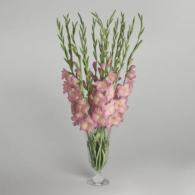 decoration - Gladiolus 3D Model