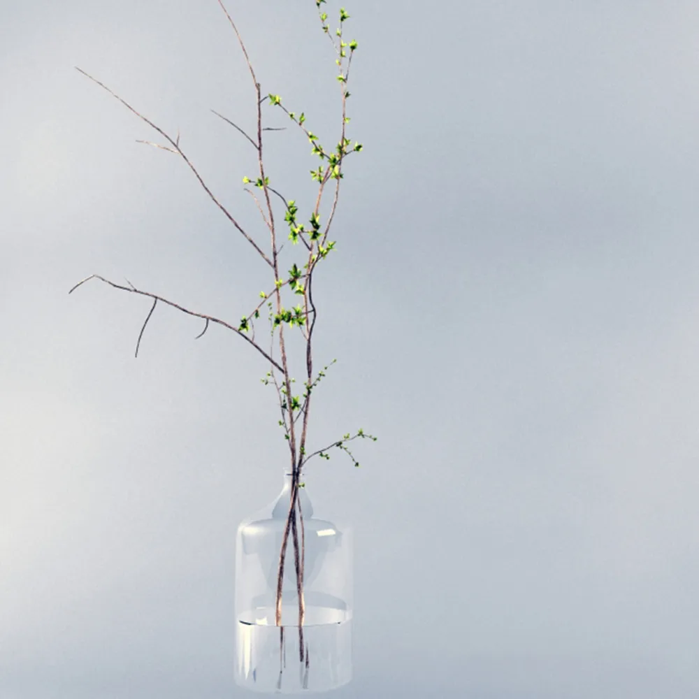 decoration - Glass jar with plant 3D Model