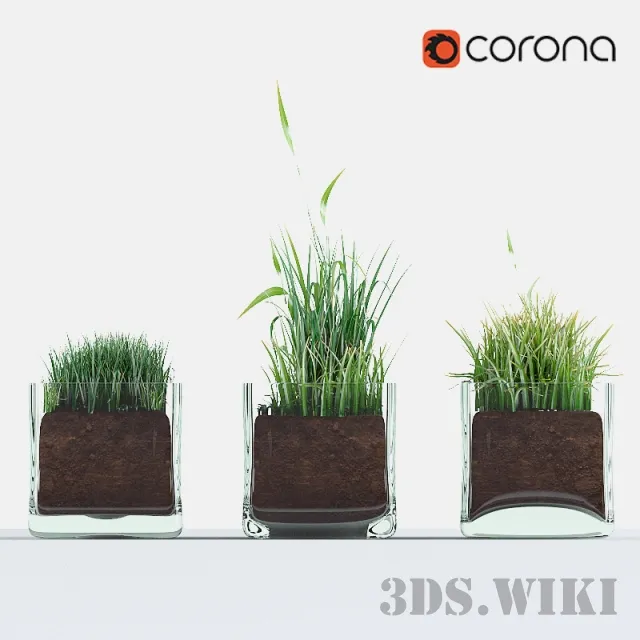 decoration - Glass vases with herbs 3D Model
