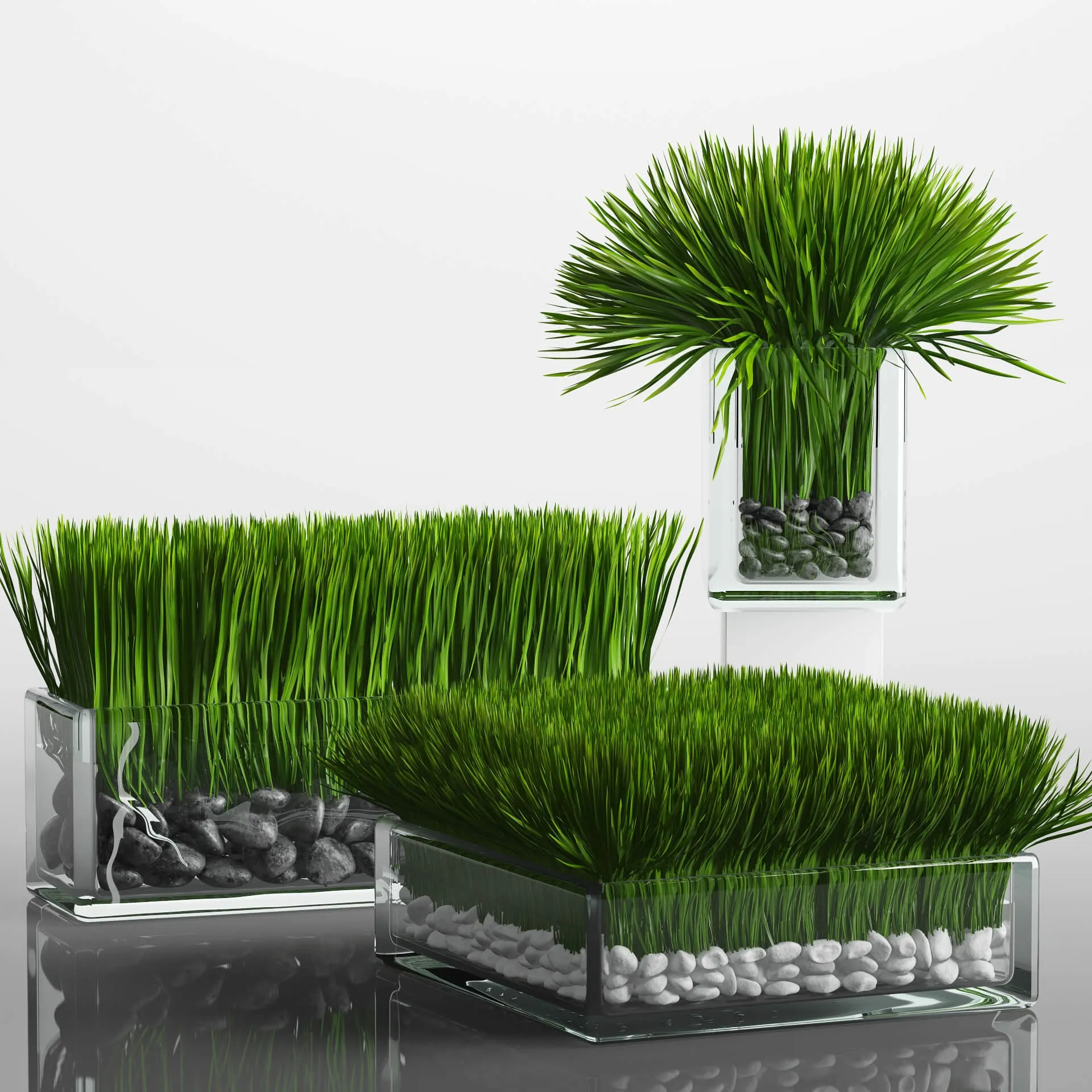 decoration - Grass Arrangement 3D Model