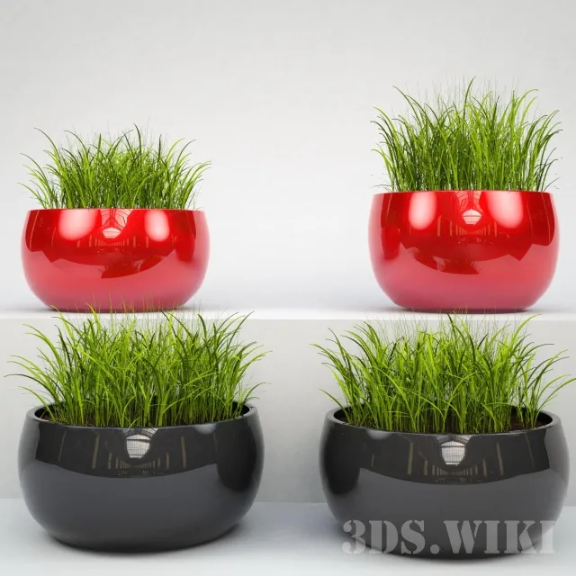 decoration - Grass in beautiful pots 3D Model