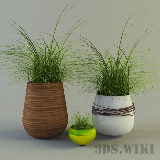 decoration - Grass in designer pots 3D Model