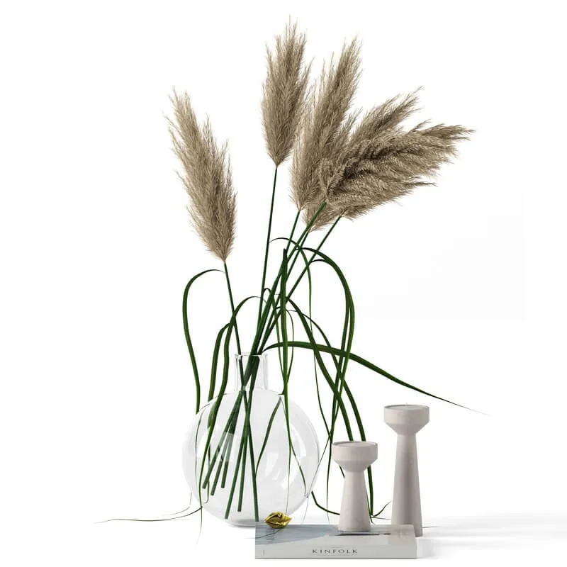 decoration - Grass in round vase 01 3D Model