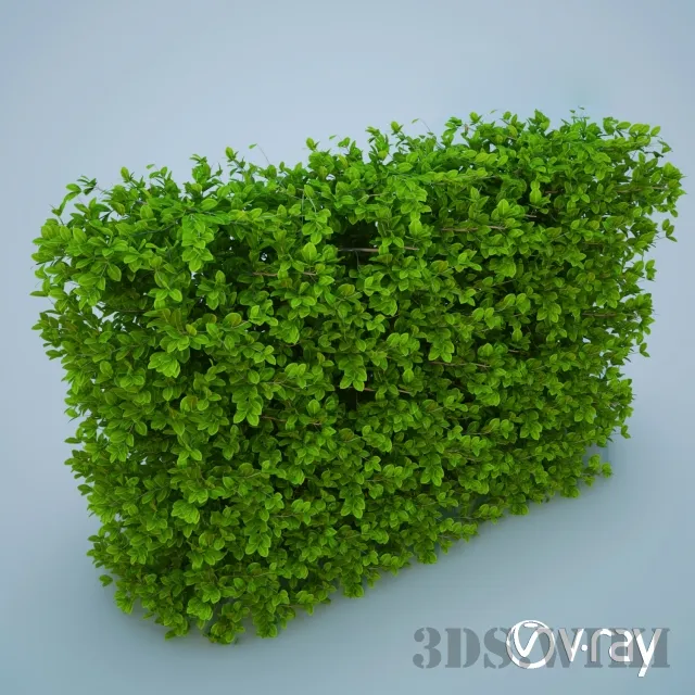 decoration - Green Grass - Lawn Bush 3D Model