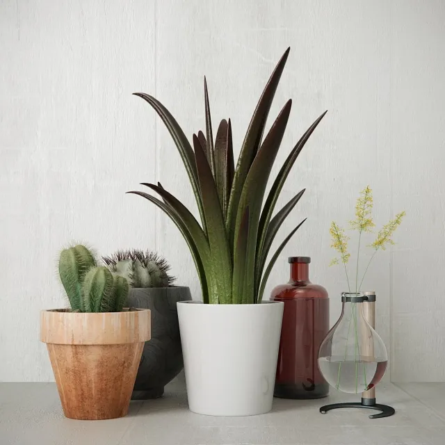 decoration - greens_set 3D Model