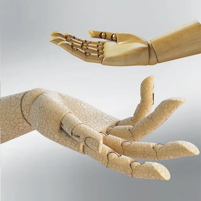 decoration - Hands 3D Model