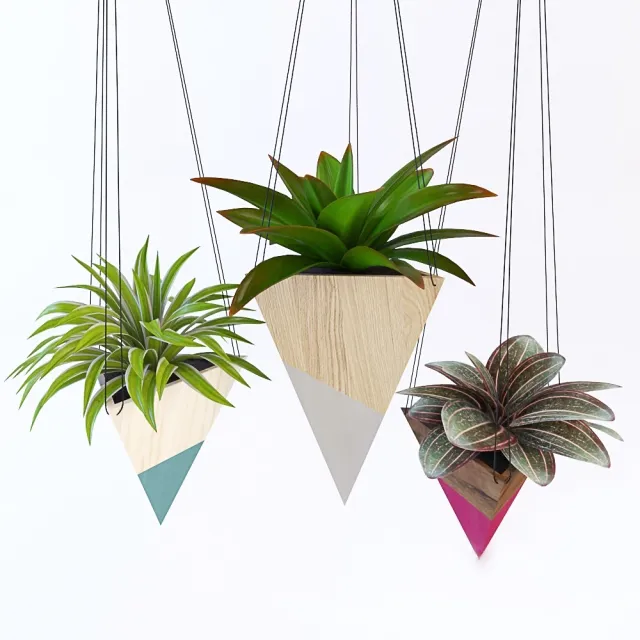 decoration - Hanging plant 3D Model