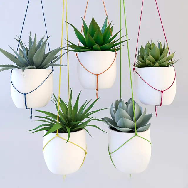 decoration - Hanging plants 05 3D Model