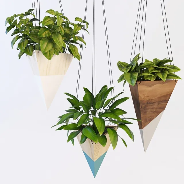 decoration - Hanging plants 3D Model