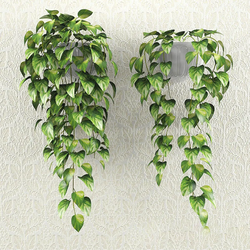 decoration - Hedera loach bush 3D Model