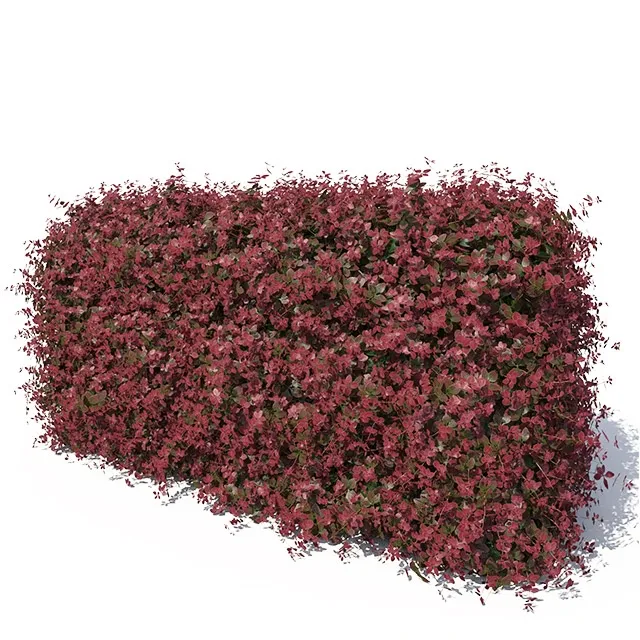 decoration - Hedge 3D Model