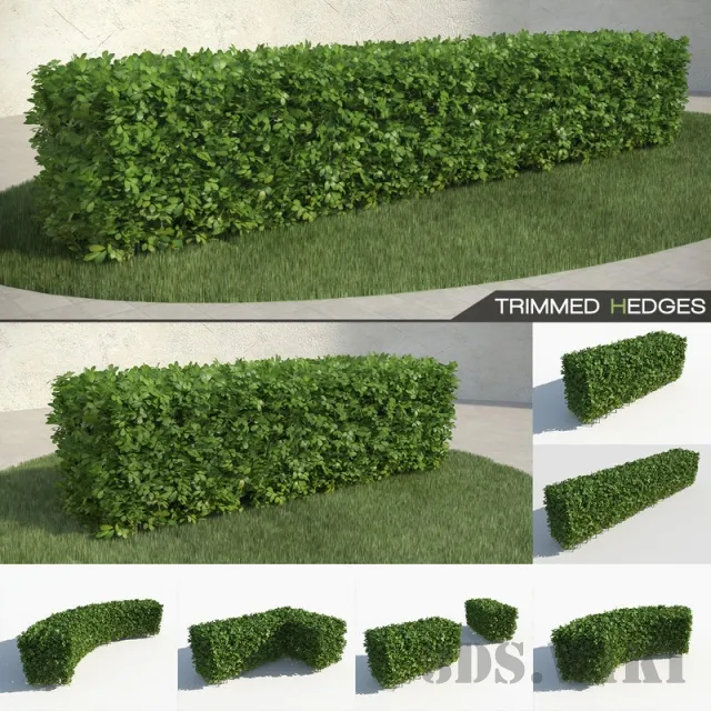 decoration - Hedge lenght 250 cm 3D Model