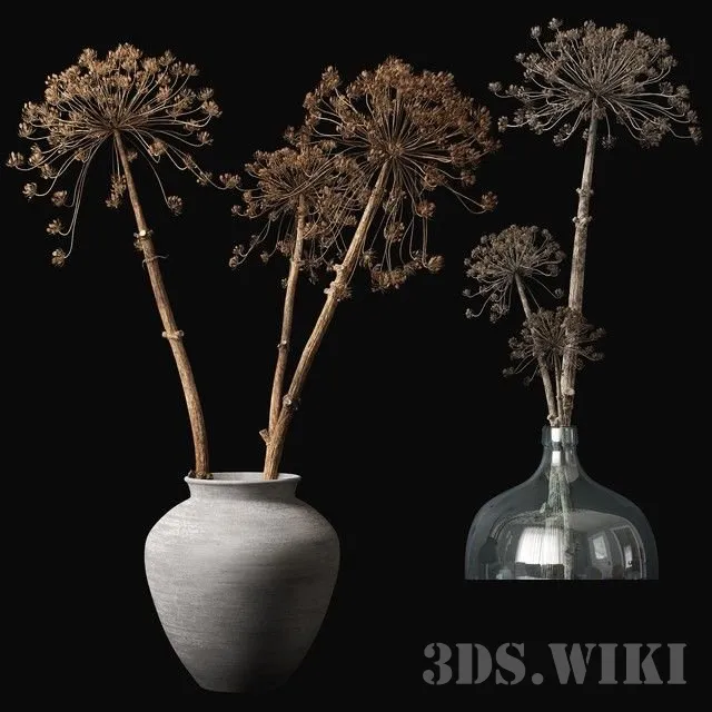 decoration - Heracleum in a vase 3D Model