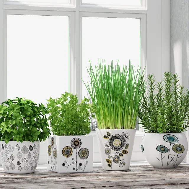 decoration - Herbs 3D Model