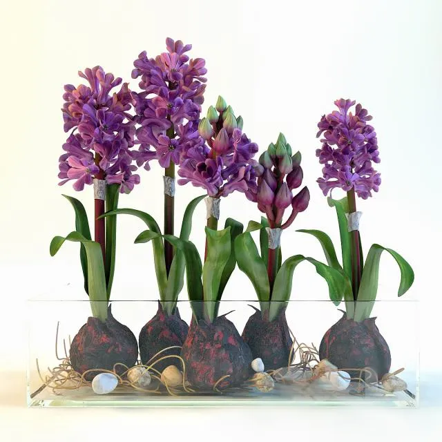 decoration - hiacynty 3D Model