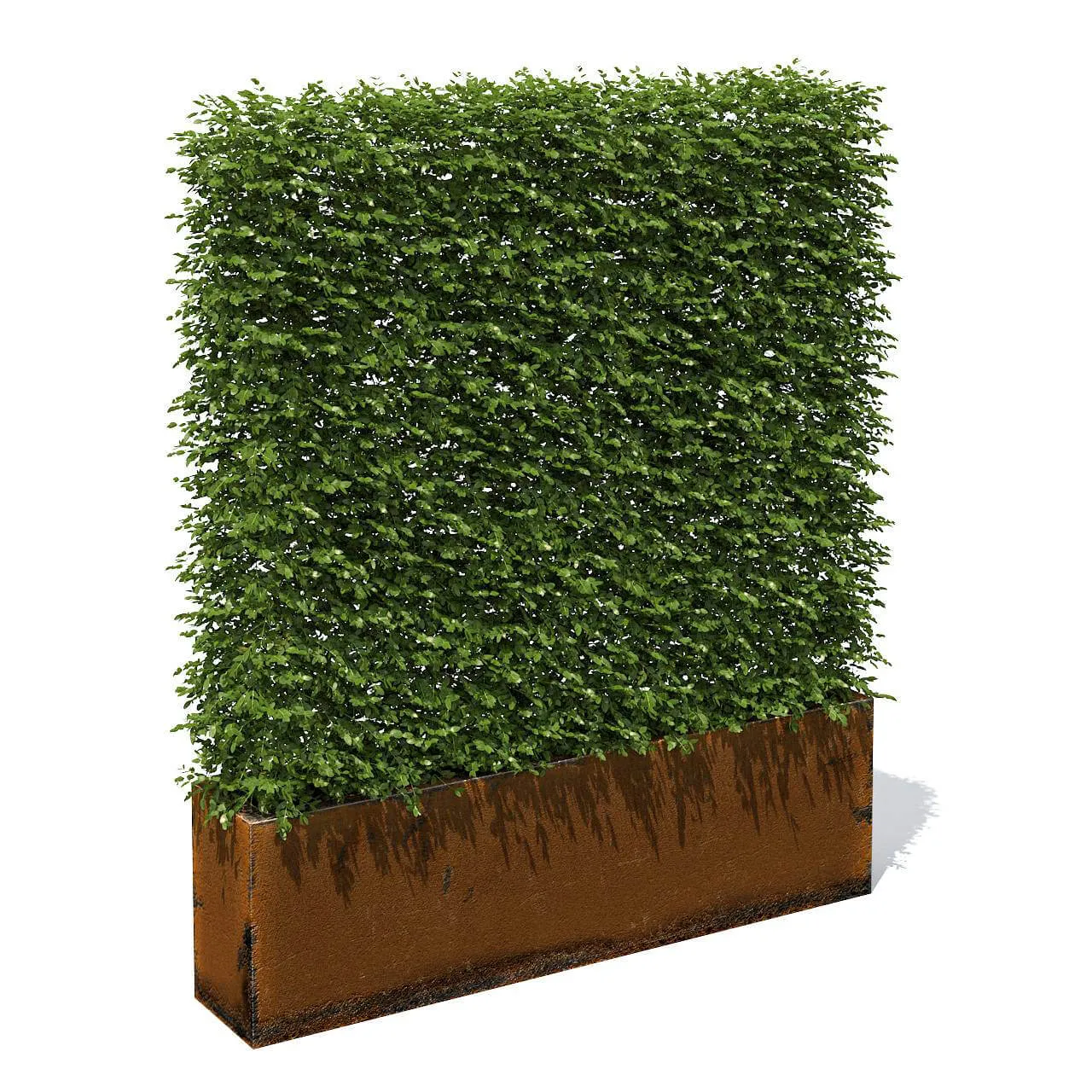 decoration - High hedges 19 3D Model