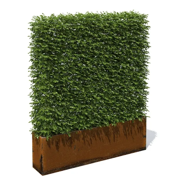 decoration - High hedges 3D Model