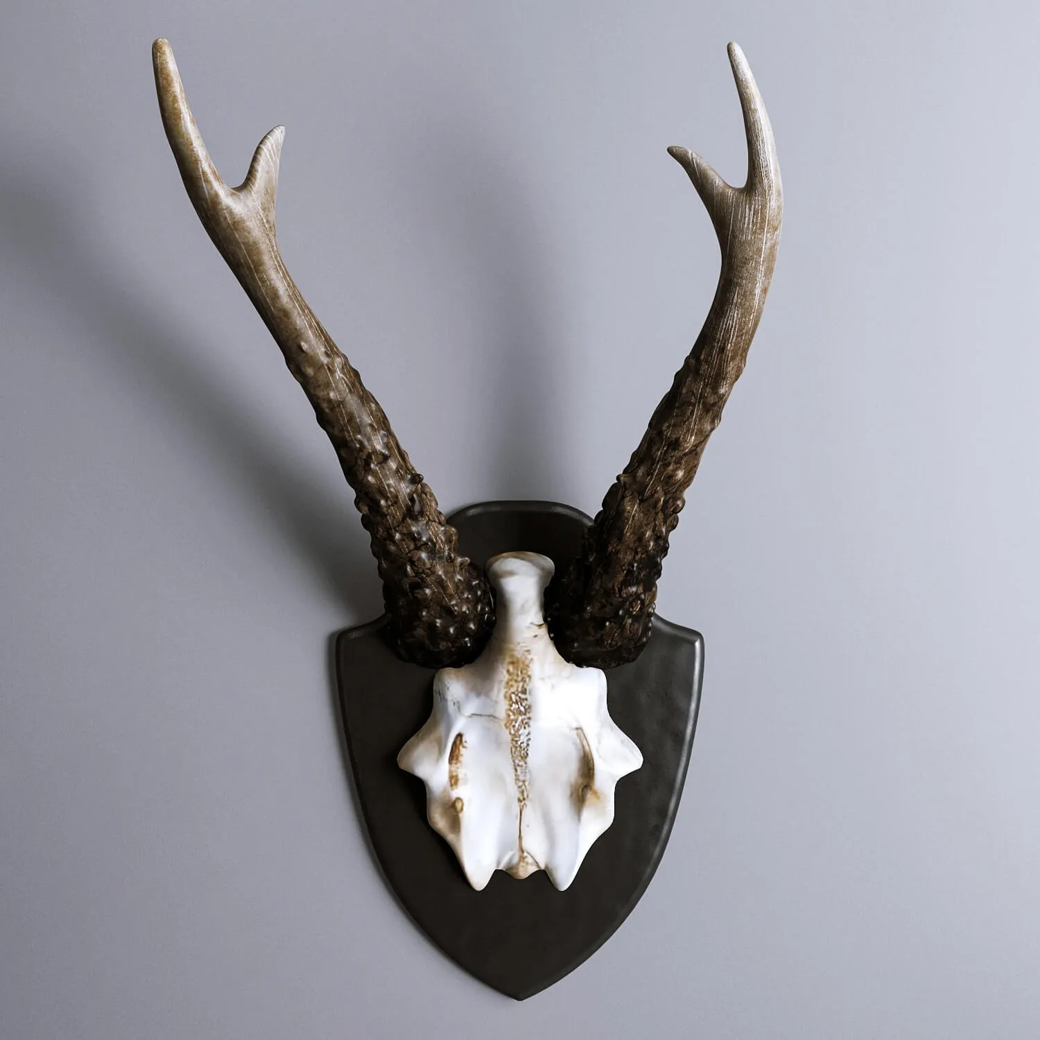 decoration - HKliving Artificial Deer Antler 3D Model