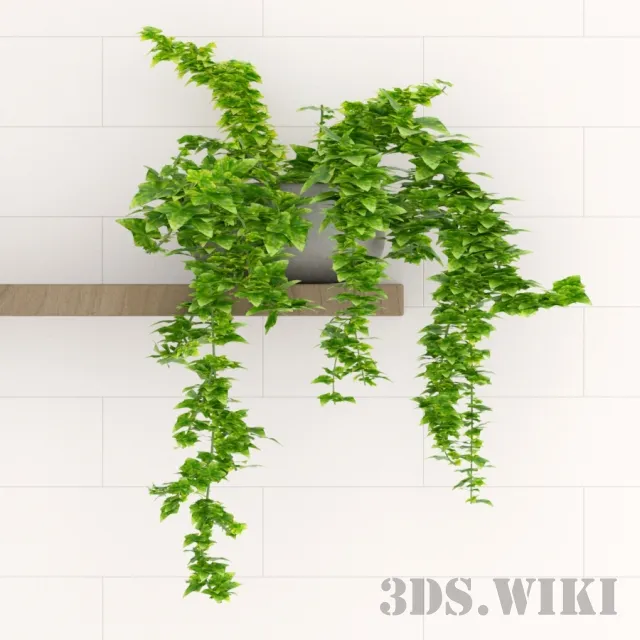 decoration - Home flowers heder 3D Model