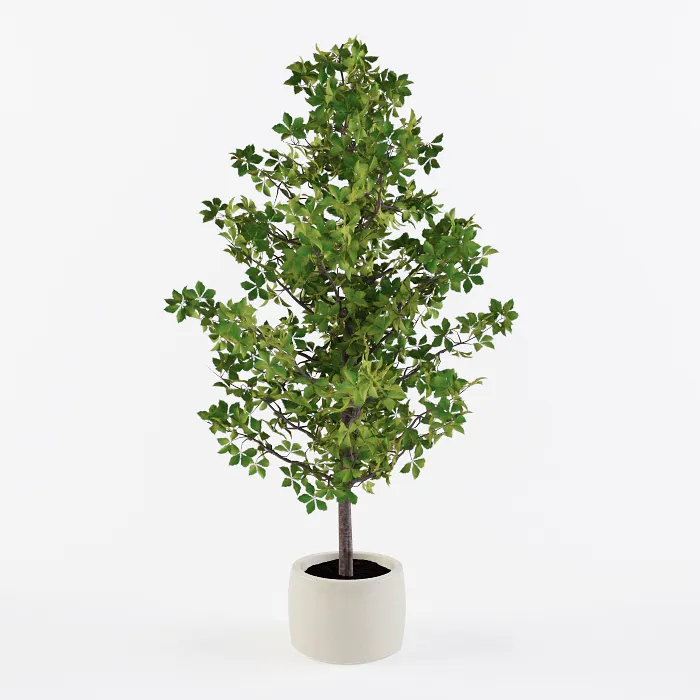 decoration - Homemade tree 002 3D Model