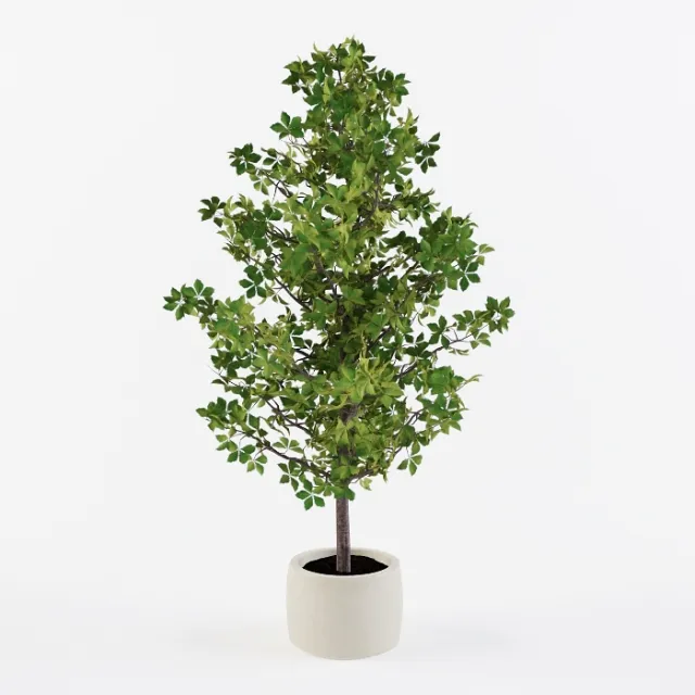 decoration - Homemade tree 3D Model