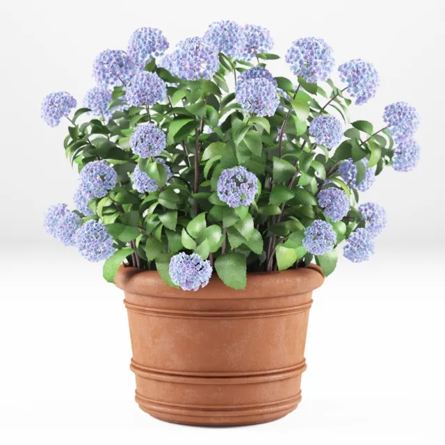 decoration - Hortense 3D Model