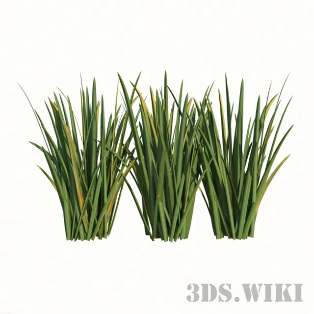 decoration - Houseplants For Ios 3D Model