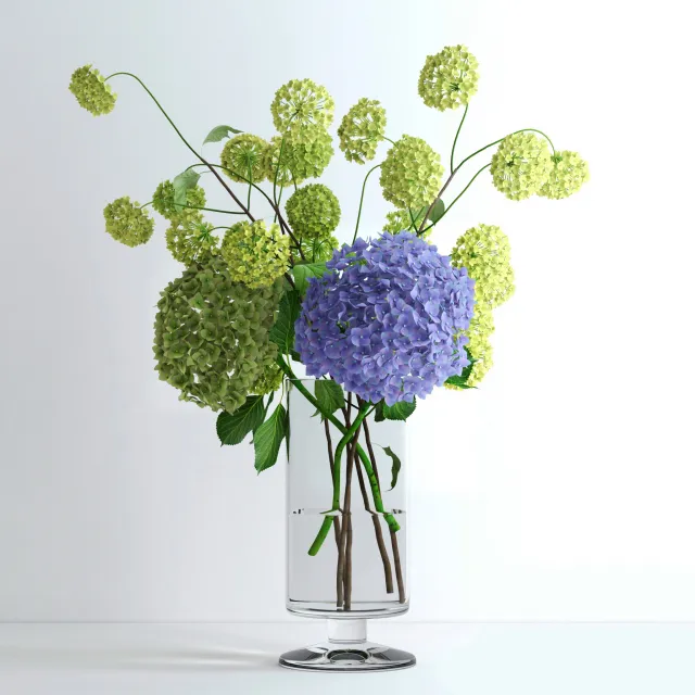decoration - Hydrangeas and viburnum 77 3D Model