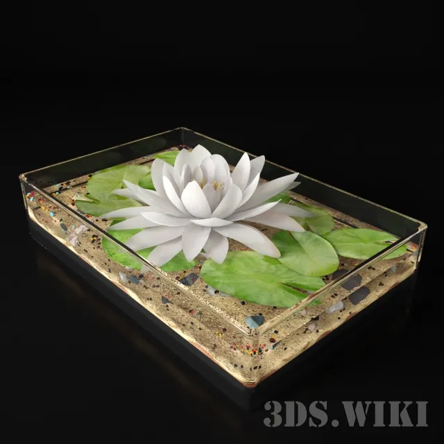 decoration - Indoor lily flower in the aquarium 3D Model