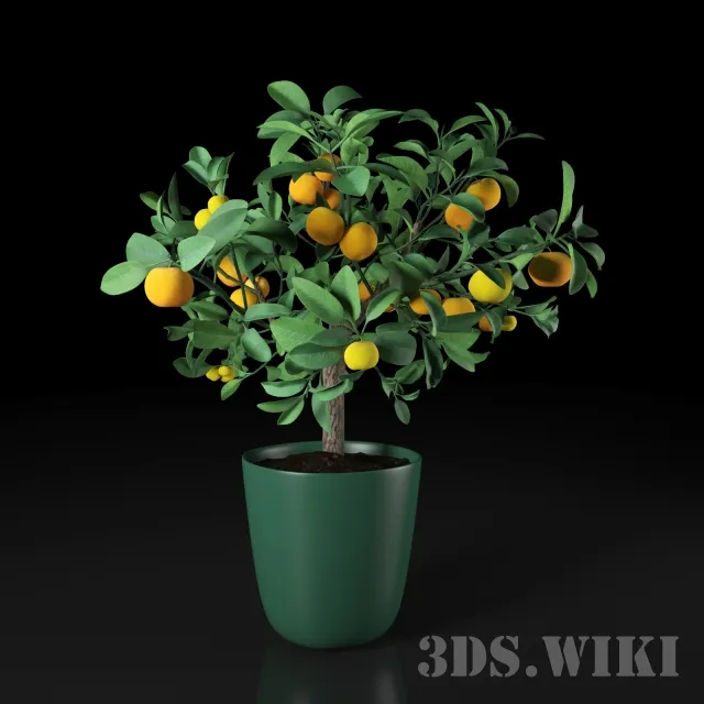 decoration - Indoor orange 3D Model