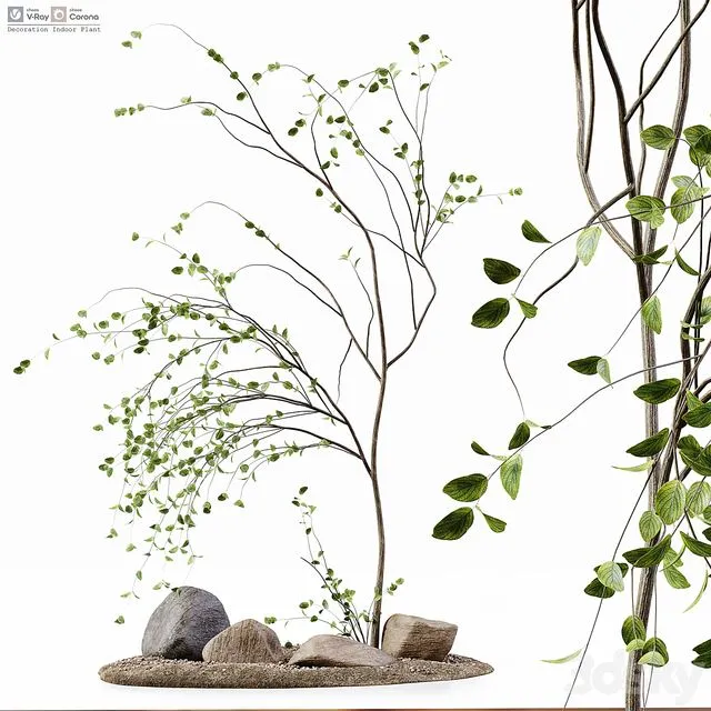 Decoration Indoor Plant 3D Model