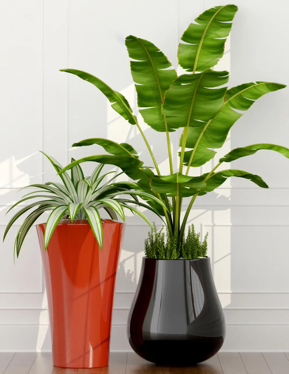 decoration - Indoor plants 3D Model