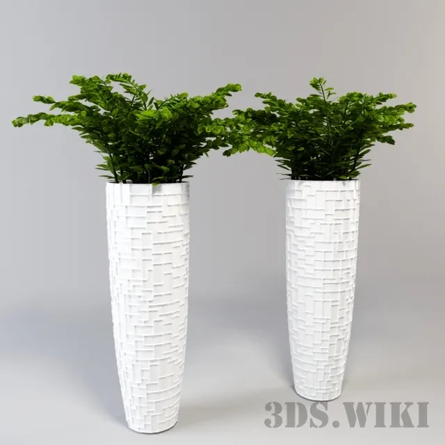 decoration - Indoor plants in beautiful vases 3D Model