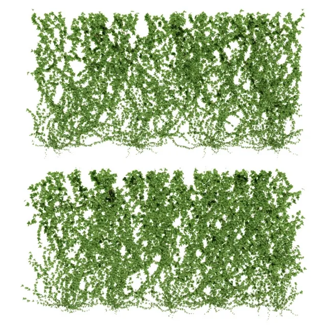 decoration - Ivy leaf wall v4 3D Model