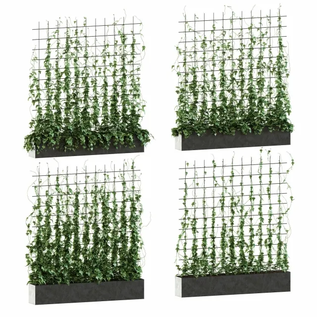 decoration - Ivy on the grid 3D Model